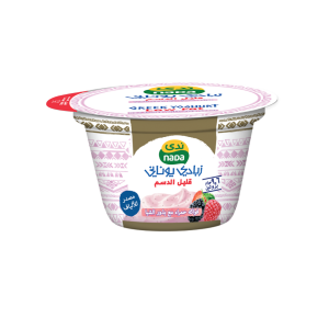 Greek Yoghurt Low Fat Red Fruits With Chia Seeds