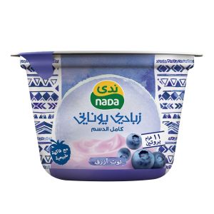 زبادي يوناني بالتوت الأزرق كامل الدسم